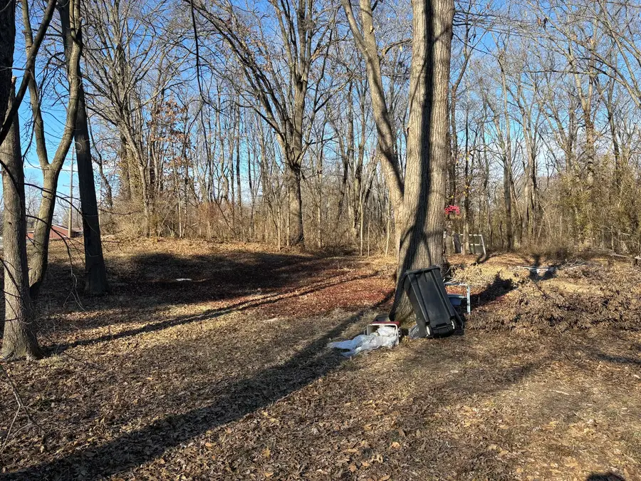 1406 Dial Street, Benton, IL 62812 - #2