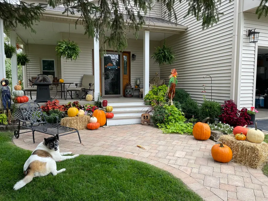 2547 Reynolds Road, Ashton, IL 61006 - #3