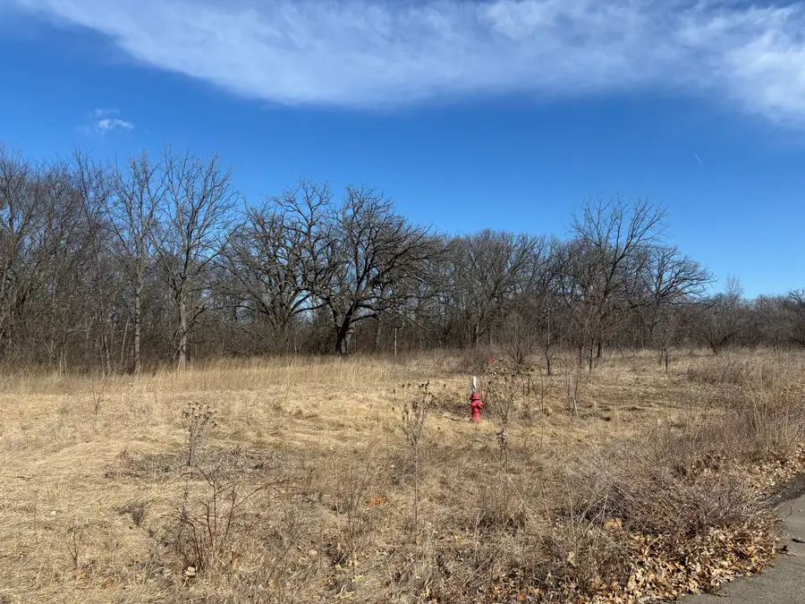 Lot 130 & Lot 131 Chippewa Trail, Albany, IL 61230 - #2