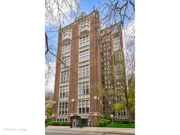 20 E Cedar Street #4D, Chicago, IL 60611