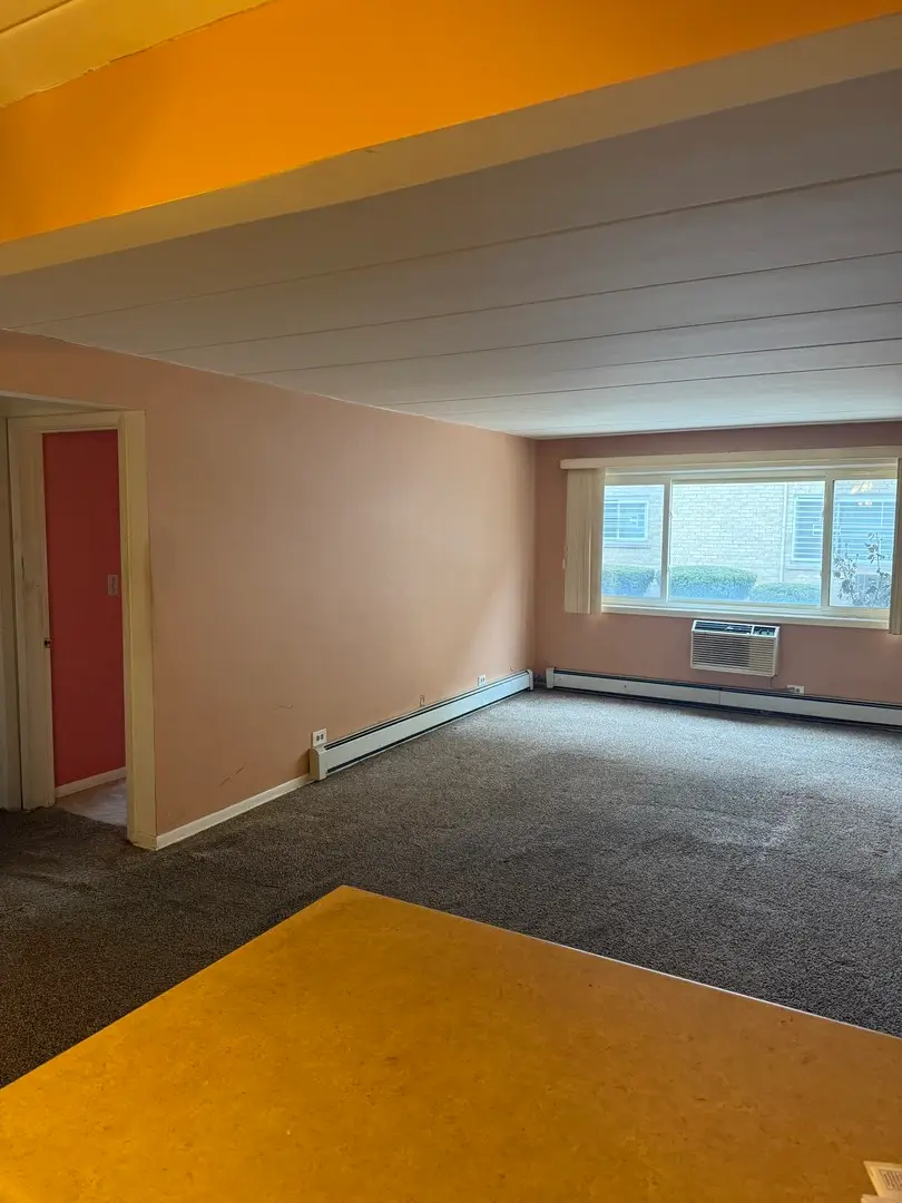 5241 N East River Road #1C, Chicago, IL 60656 - #3