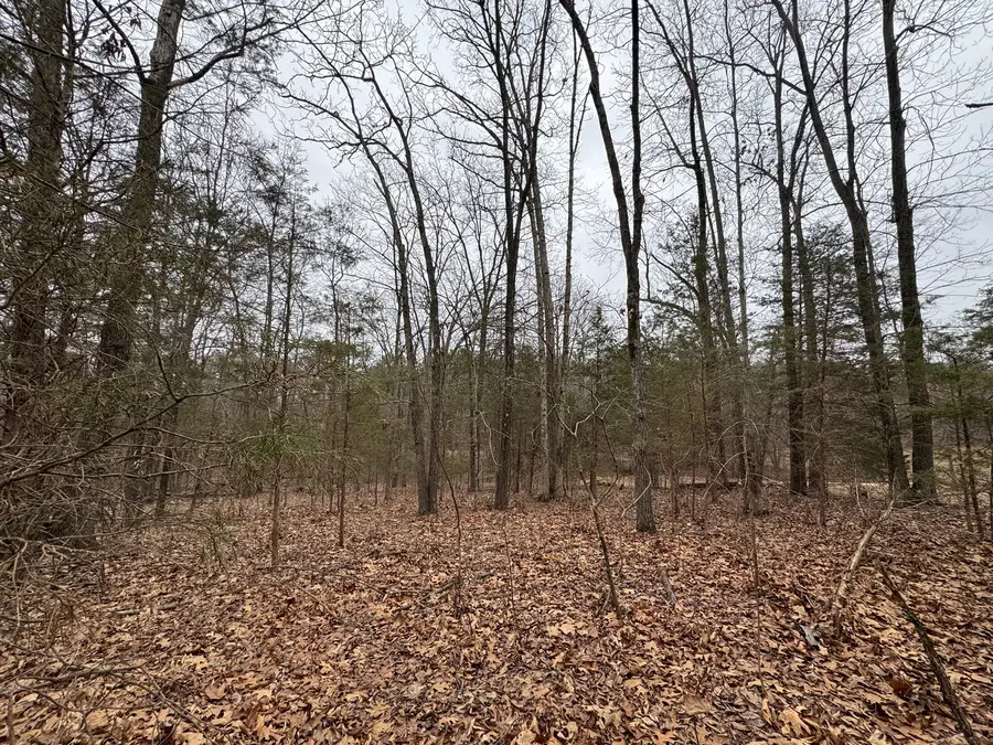 000 Indian Creek Drive, Goreville, IL 62939 - #2