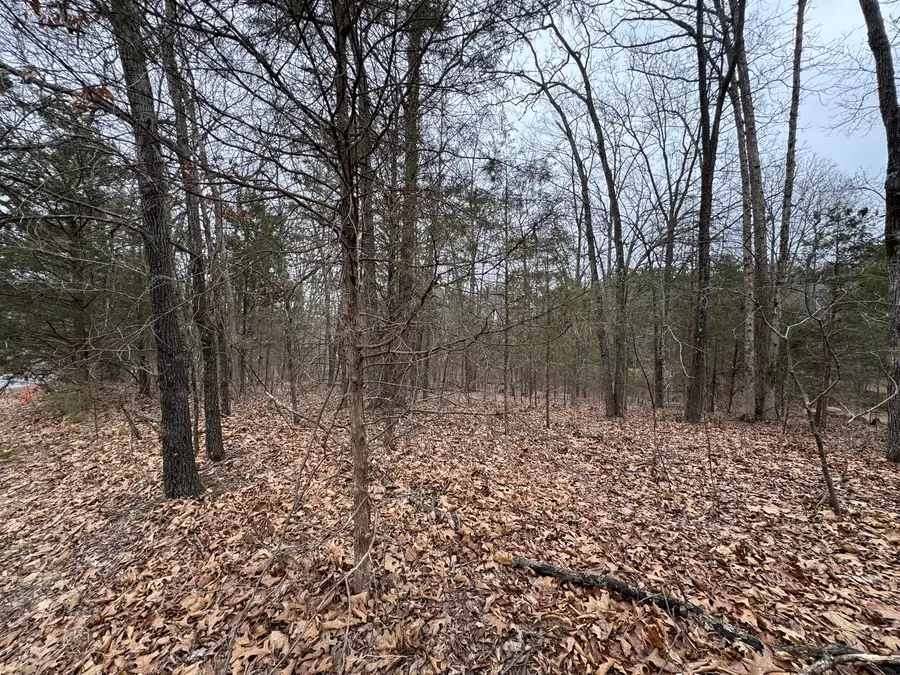 000 Indian Creek Drive, Goreville, IL 62939 - #3