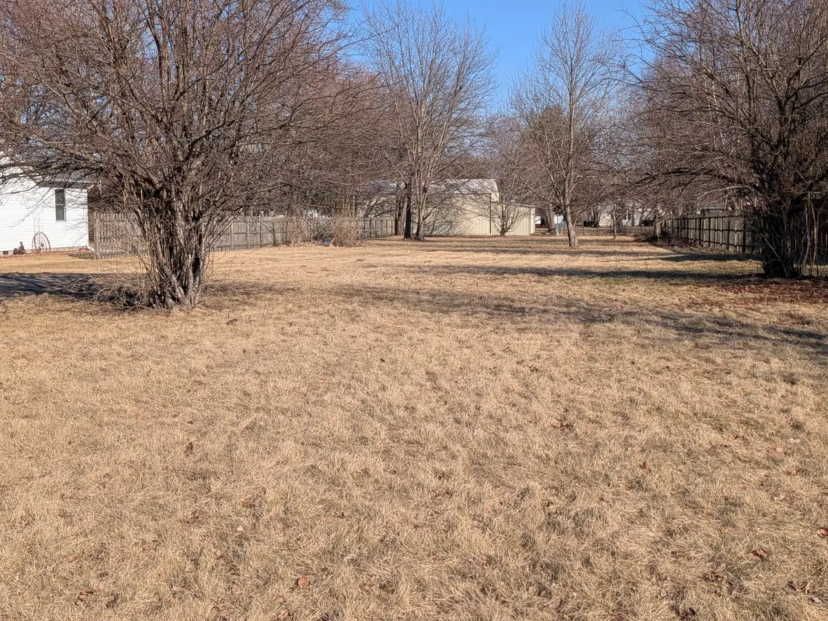 179 N Maple Street, Braidwood, IL 60408 - #1