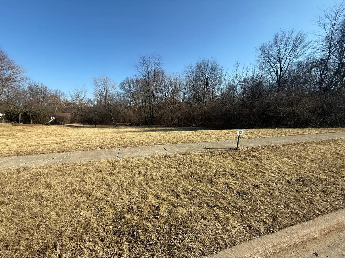 21405 S Woodland Way, Shorewood, IL 60404 - #1