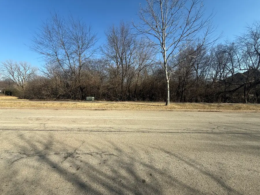 21405 S Woodland Way, Shorewood, IL 60404 - #3