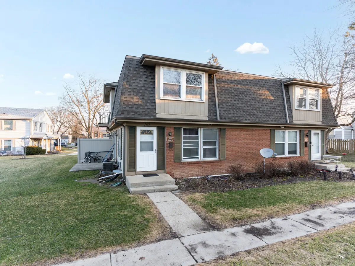 703 Shaw Court, Schaumburg, IL 60194 - #1
