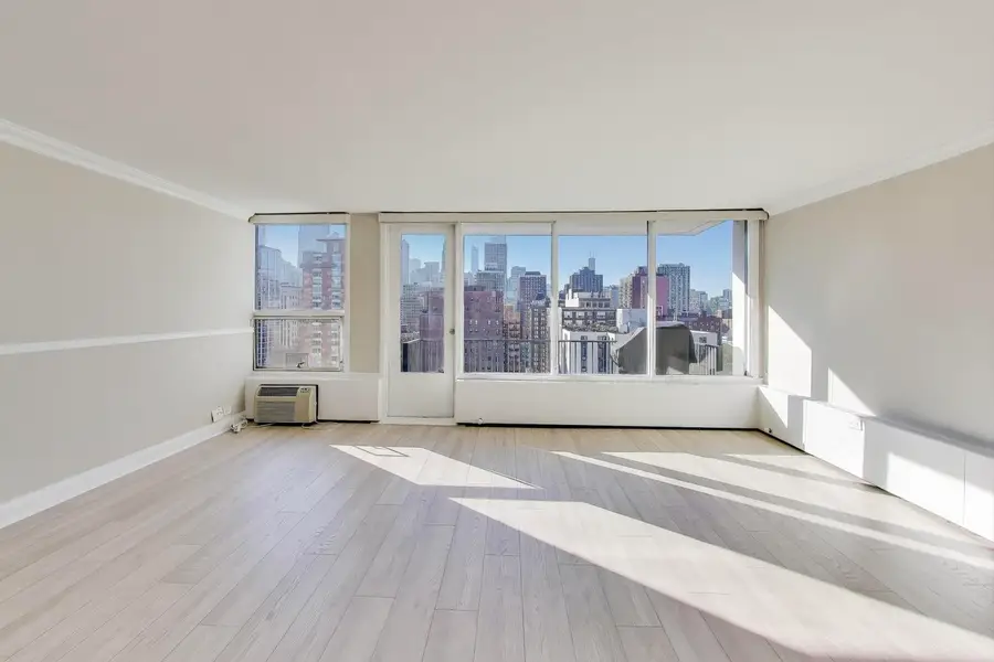 1400 N State Parkway #18A, Chicago, IL 60610 - #3