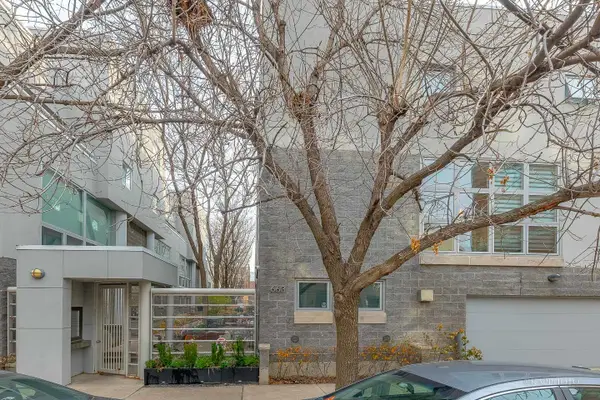 663 N Sangamon Street #3S, Chicago, IL 60642