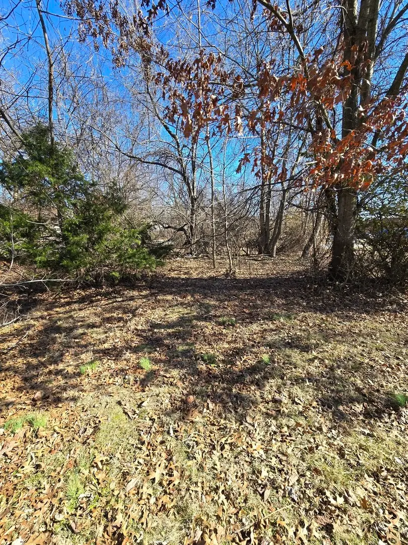 00 Giant City Road S, Carbondale, IL 62902 - #3