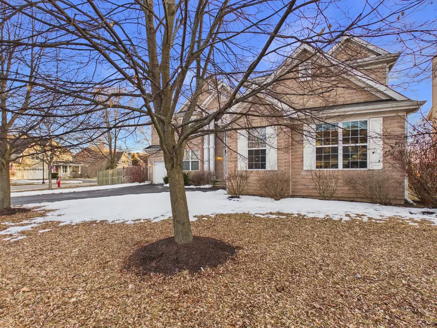 509 Blazing Star Drive, Lake Villa, IL 60046 - #3