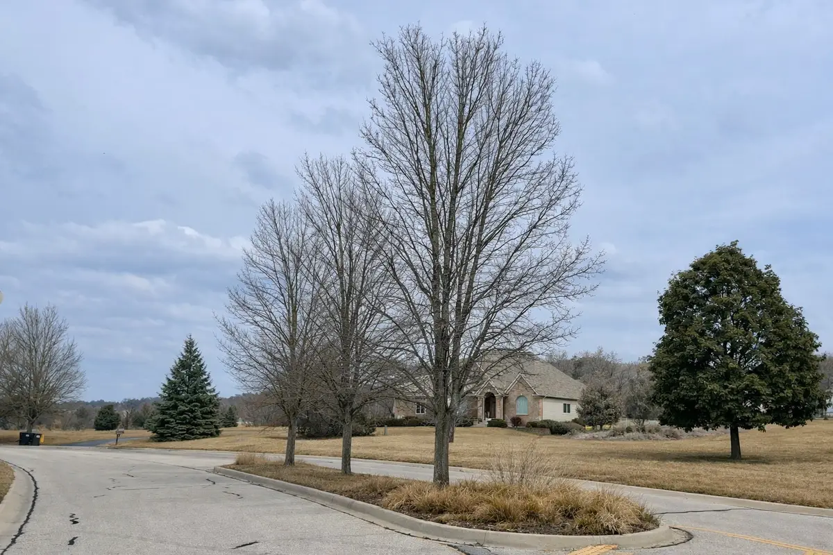 1715 Cedar Lane, Spring Grove, IL 60081 - #1