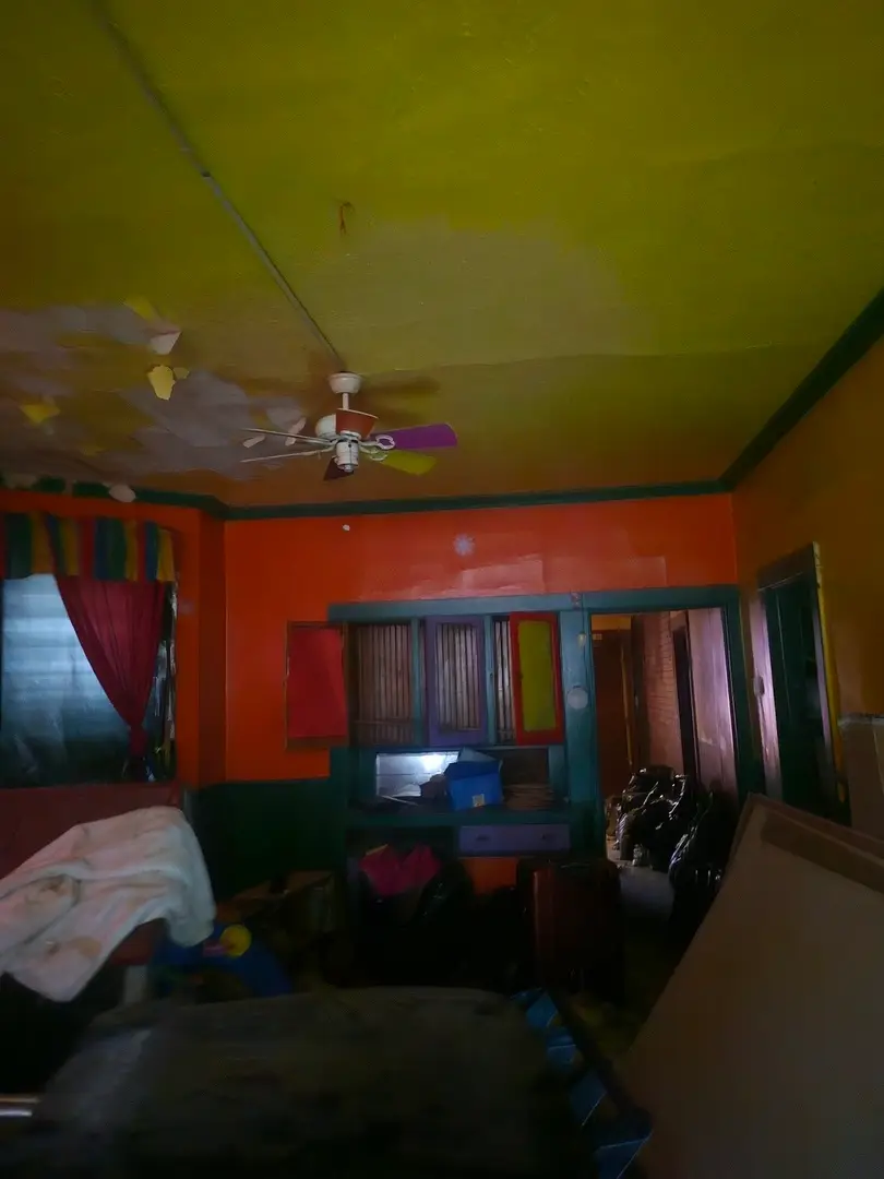 1010 N Ridgeway Avenue, Chicago, IL 60651 - #3