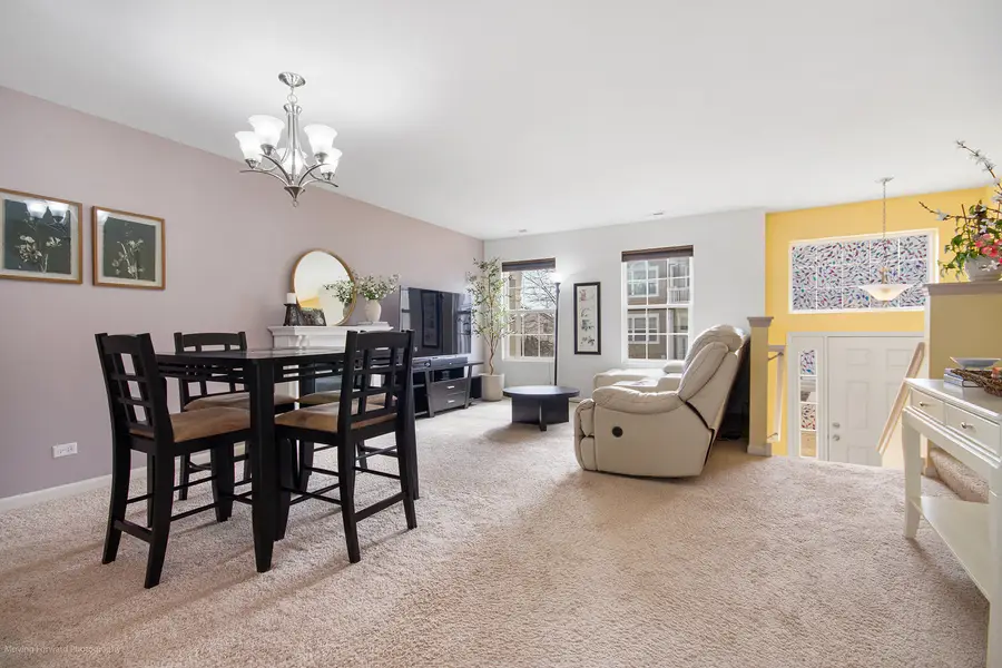 605 Treble Lane, Volo, IL 60073 - #3