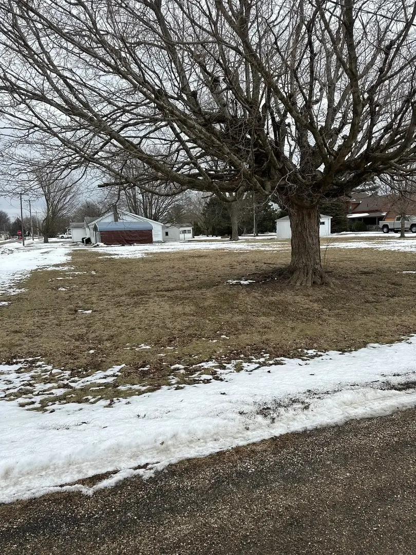LOT 6 W Elm Street, Leroy, IL 61752 - #2