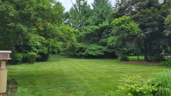 4910 Taffy Court, Richmond, IL 60071 - #3