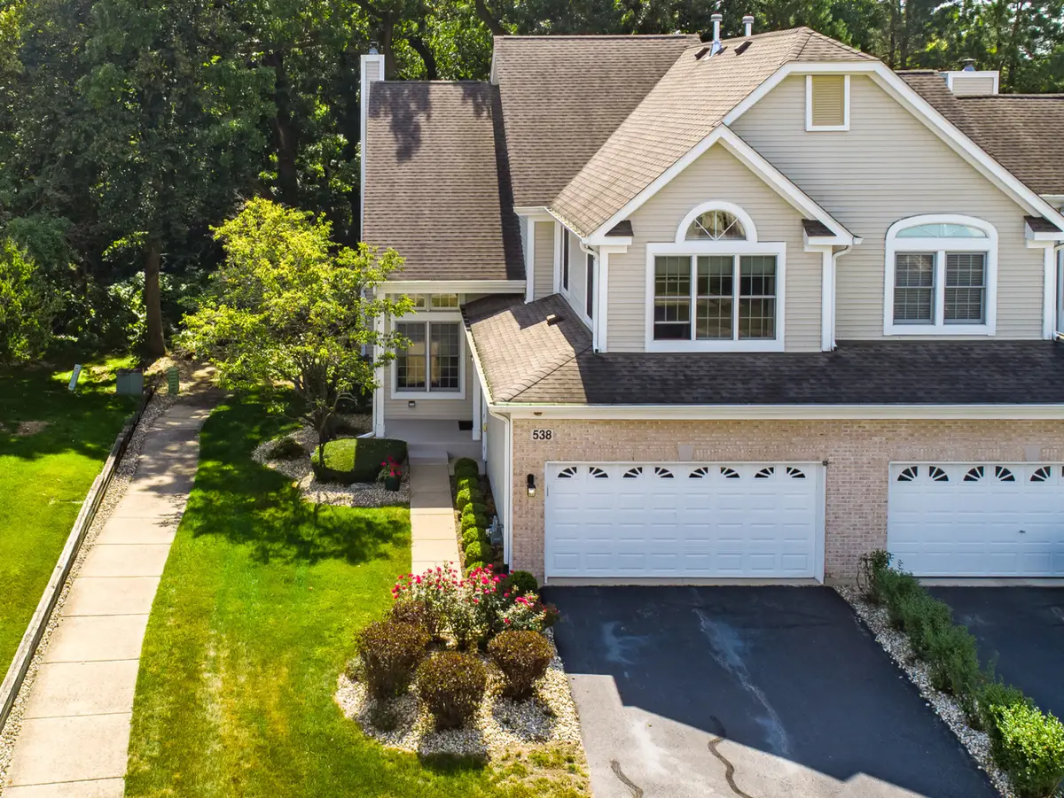 538 Harlowe Lane, Naperville, IL 60565 - #1