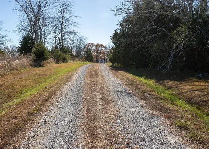 190 Schwartz Hill Lane, Vienna, IL 62995 - #3