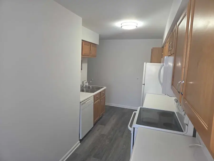 3360 184th Street #1E, Homewood, IL 60430 - #3