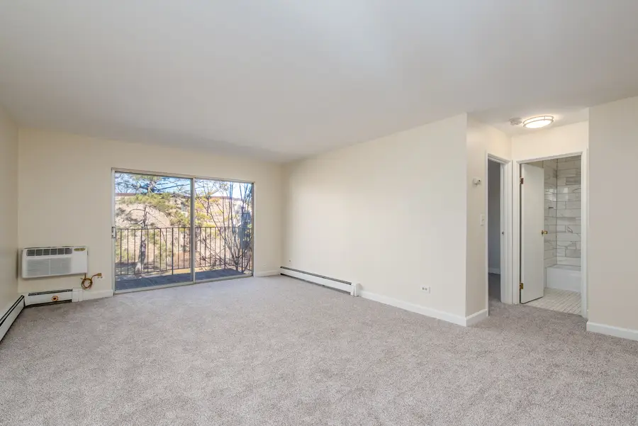 1473 N Winslowe Drive #203, Palatine, IL 60074 - #2