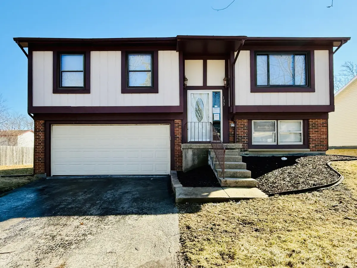 133 Deerpath Road, Matteson, IL 60443 - #1