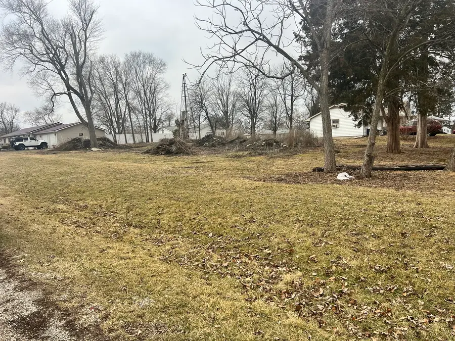 201 N Johnson Street, Rankin, IL 60960 - #3