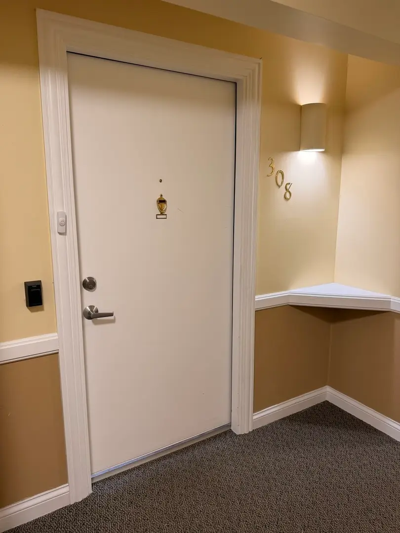 801 N Mclean Boulevard #308, Elgin, IL 60123 - #2
