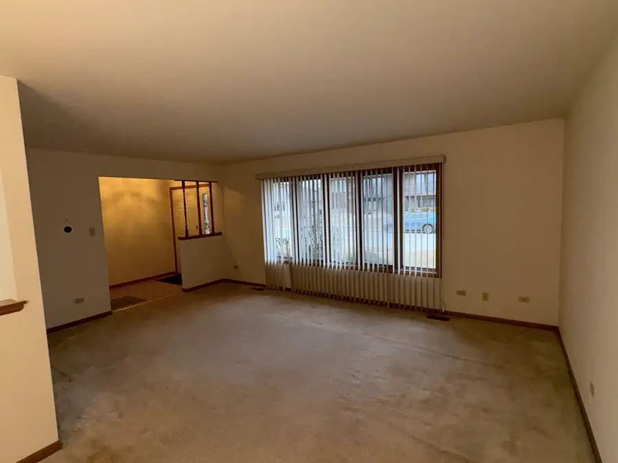 10935 Colorado Court, Orland Park, IL 60467 - #3