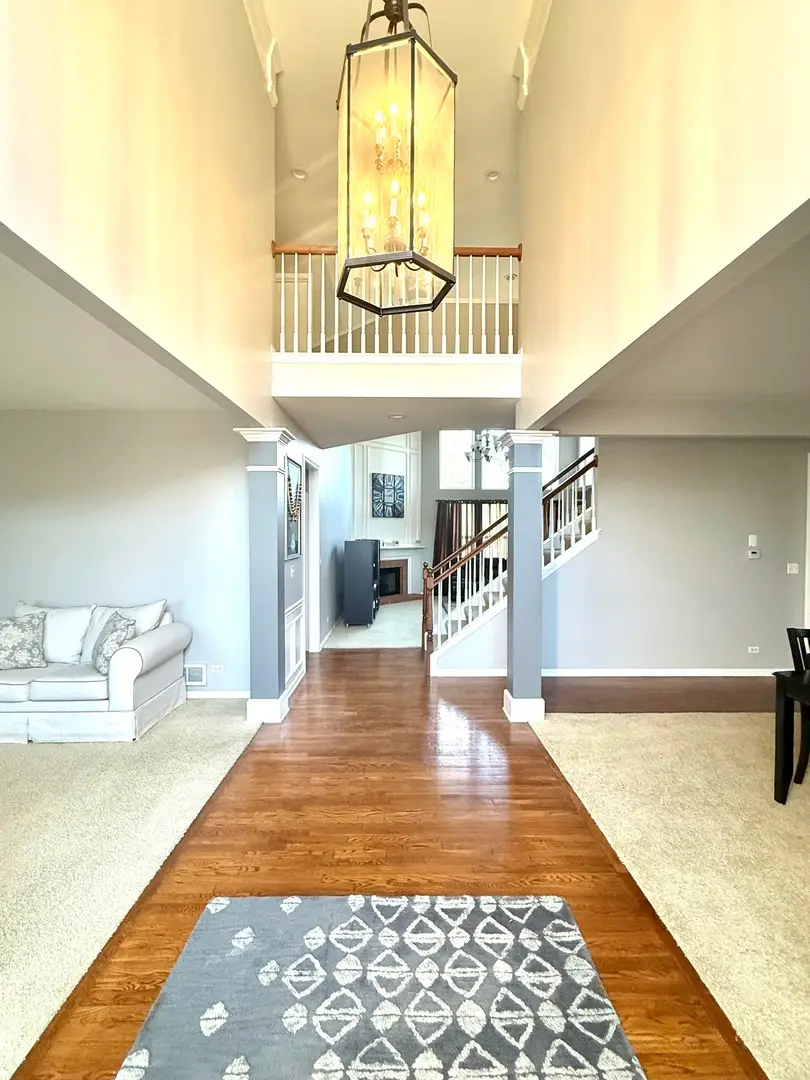 705 Blue Ridge Drive, Streamwood, IL 60107 - #3