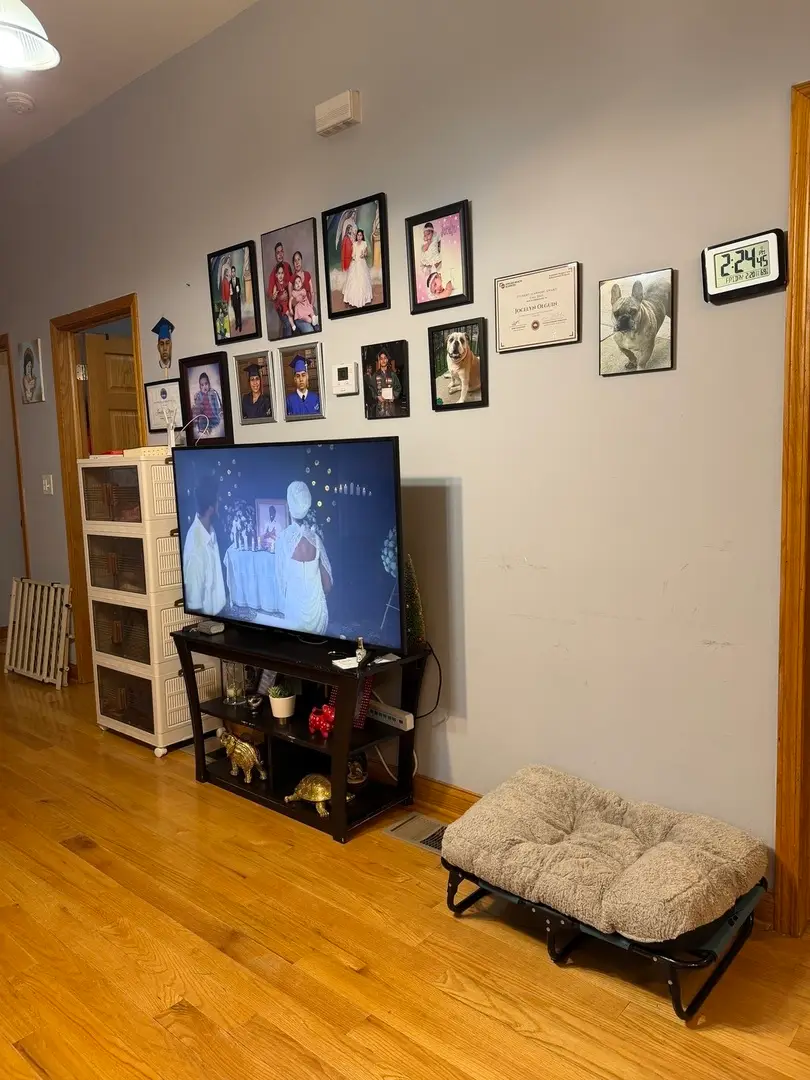 717 N Springfield Avenue, Chicago, IL 60624 - #3