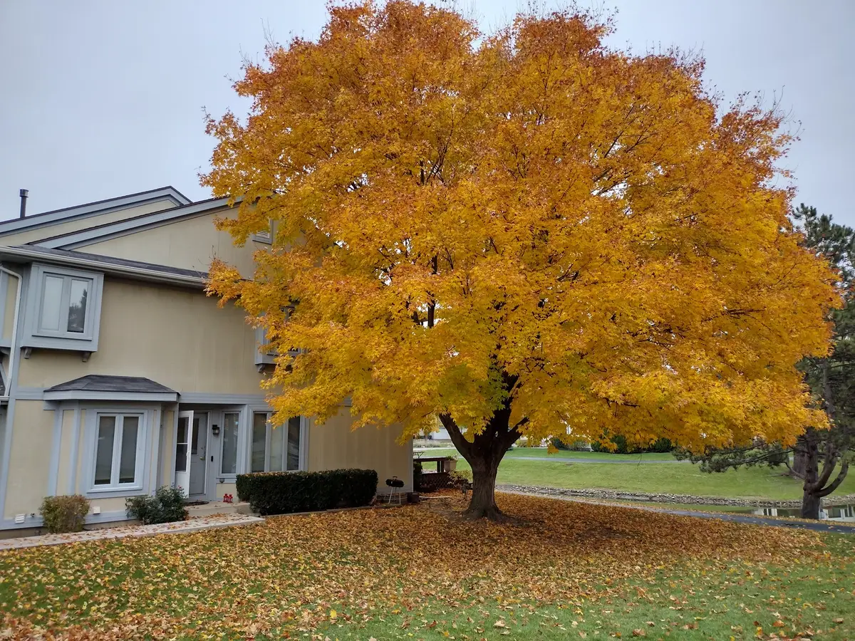 399 Catbird Lane, Deerfield, IL 60015 - #1