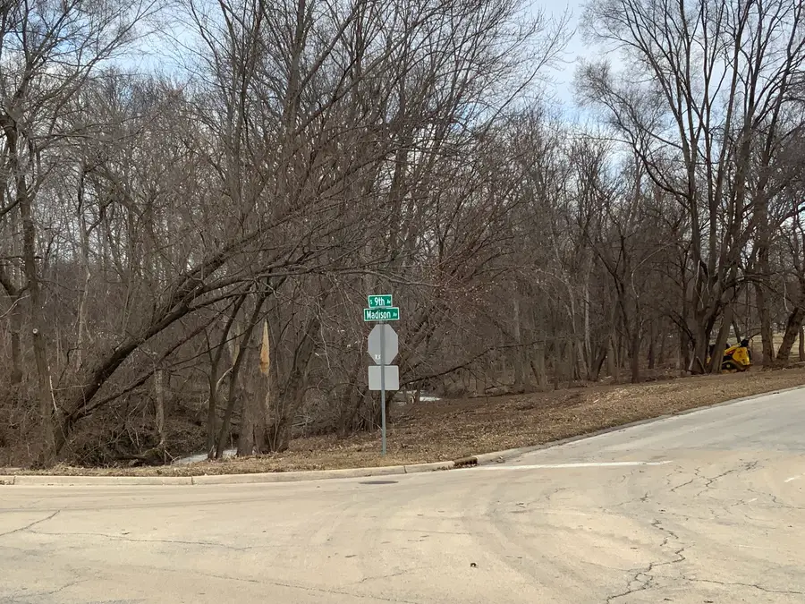 9th Ave S 9th Avenue, Saint Charles, IL 60174 - #2