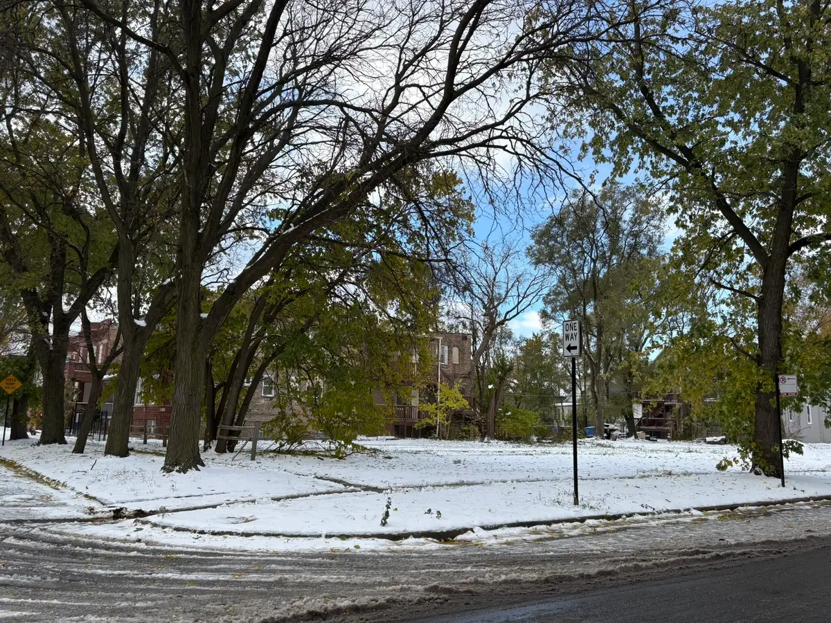 7300 S Dante Avenue, Chicago, IL 60619 - #1