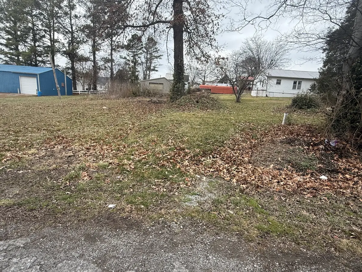 201 W Main Street, Vienna, IL 62995 - #1