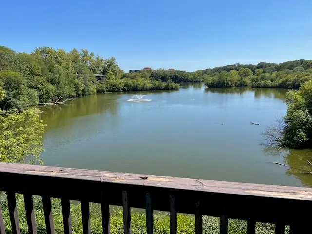 1601 E Maple Terrace #3B, Lisle, IL 60532 - #2