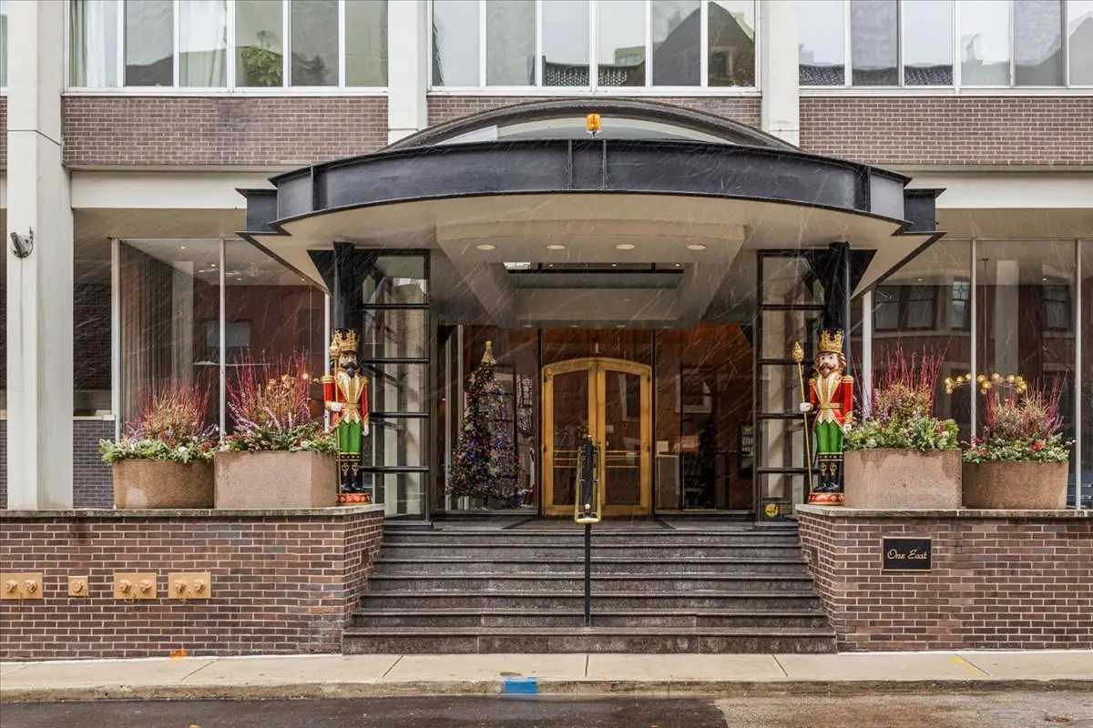 1 E Schiller Street #22A, Chicago, IL 60610 - #1