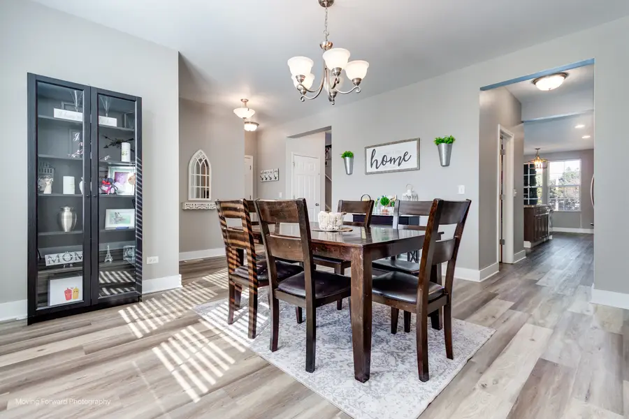 25420 W Springview Court, Plainfield, IL 60586 - #3