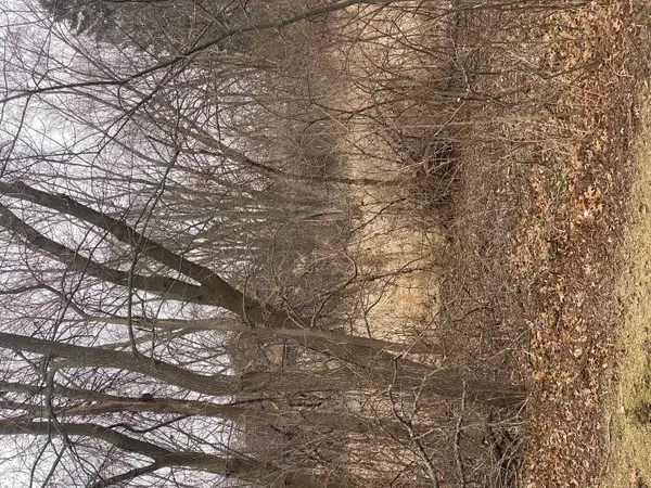 21177 N Valley Road, Kildeer, IL 60047