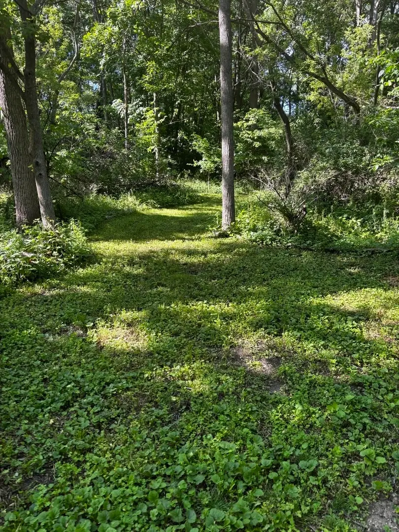 21177 N Valley Road, Kildeer, IL 60047 - #3