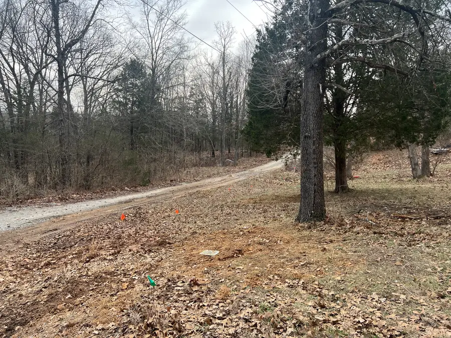 Lot 14 Jill Lane, Goreville, IL 62939 - #2