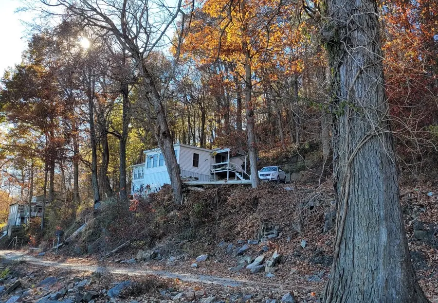 62 Alley Cat Lane, Golconda, IL 62938 - #3