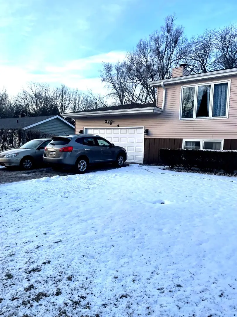 23W464 Olive Court, Carol Stream, IL 60188 - #3