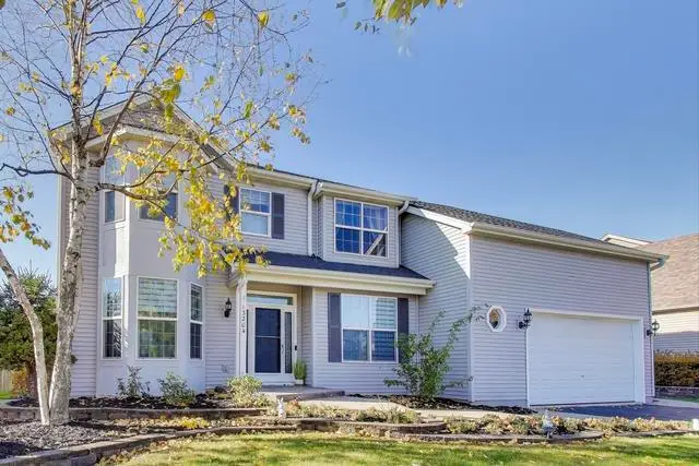 13204 Cinnamon Circle, Plainfield, IL 60585 - #2