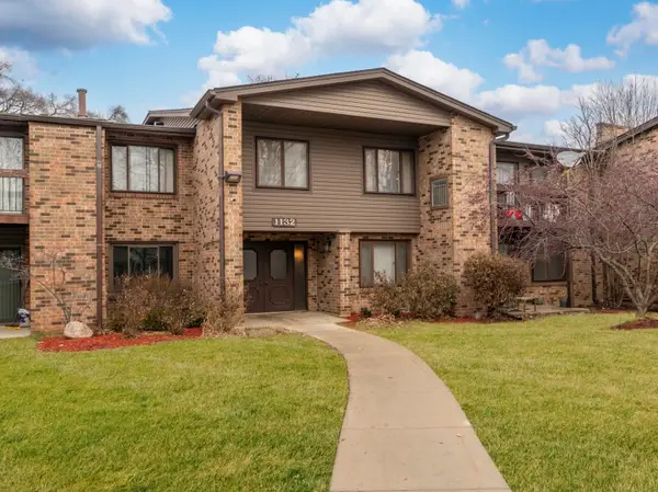 1132 E Randville Drive #2H, Palatine, IL 60074
