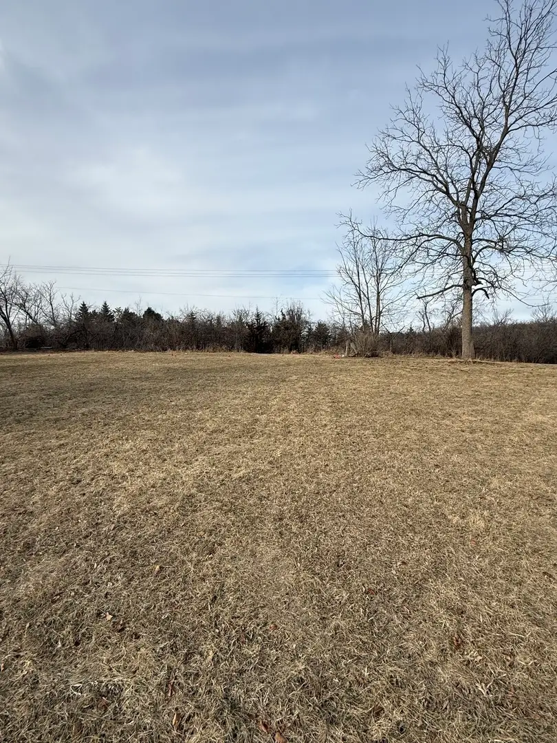2275 Drexel Avenue, Davis, IL 61019 - #1