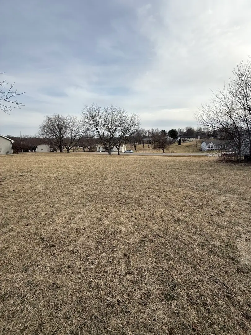 2275 Drexel Avenue, Davis, IL 61019 - #3
