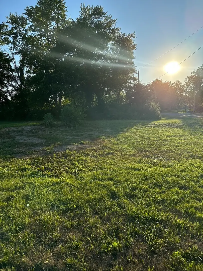 33987 Conley Road, Mackinaw, IL 61755 - #1