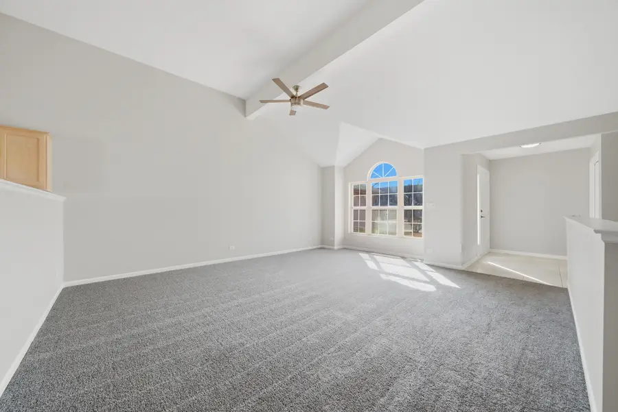 1323 Coral Bell Drive, Joliet, IL 60435 - #3