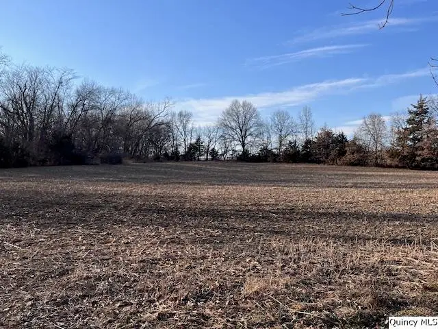 Sec 9 N 400th Avenue, Liberty, IL 62347 - #2