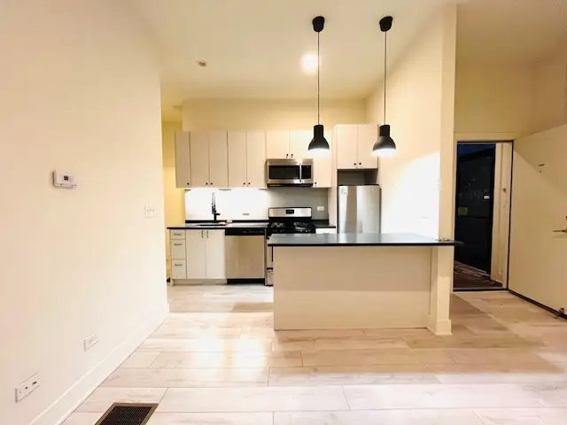 1001 W 16th Street, Chicago, IL 60608 - #3